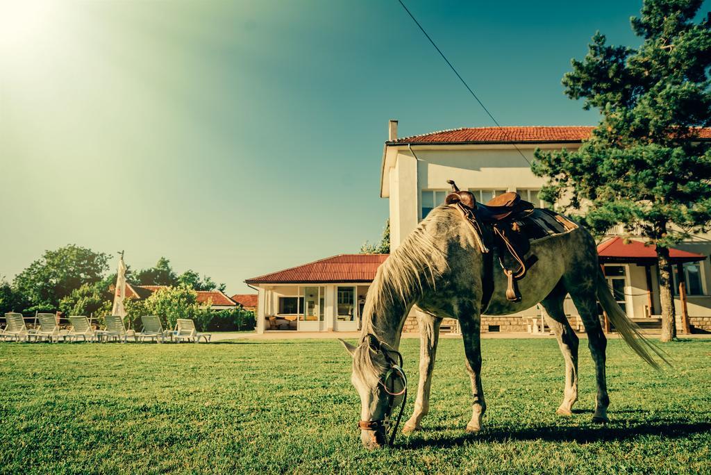 Guest House Ongal Krushuna Bagian luar foto